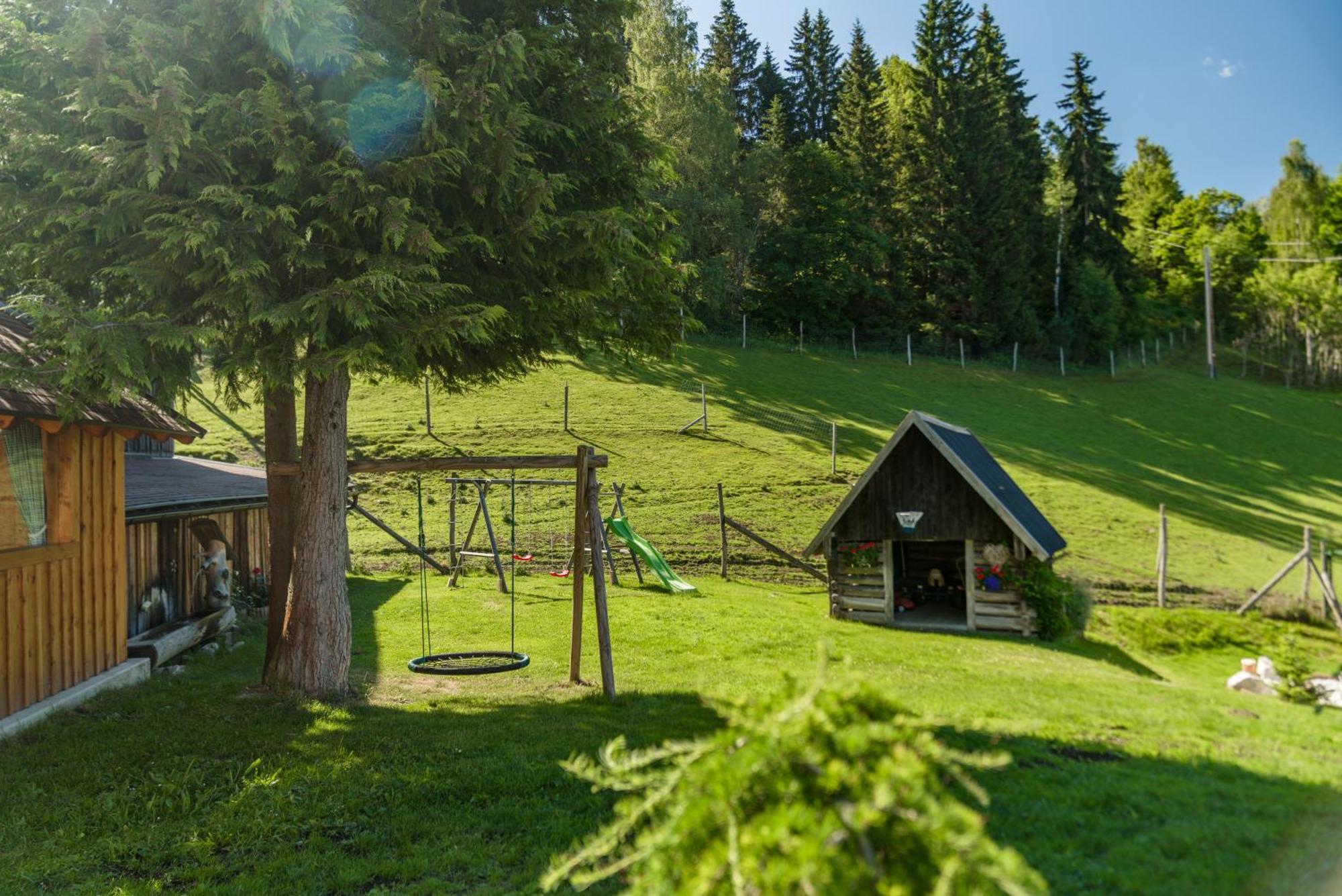 Apparthaus Taxegger Haus im Ennstal Exterior photo
