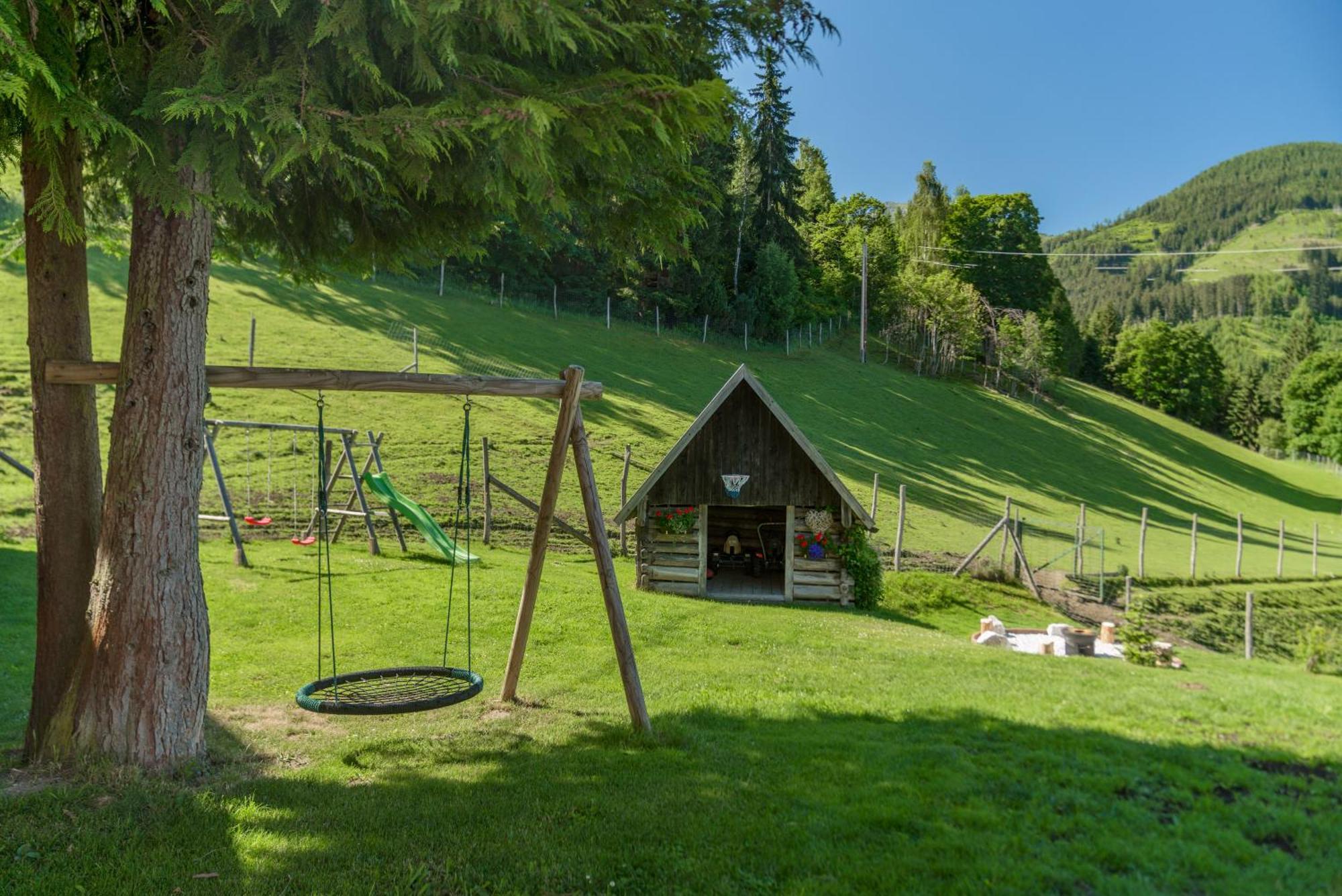Apparthaus Taxegger Haus im Ennstal Exterior photo