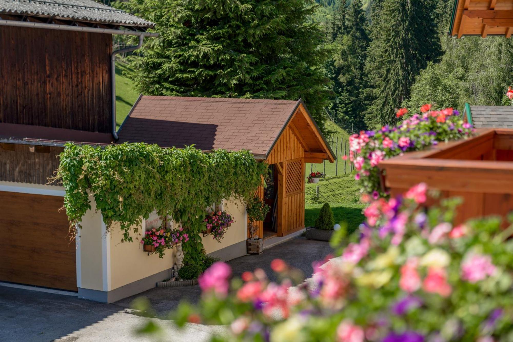 Apparthaus Taxegger Haus im Ennstal Exterior photo